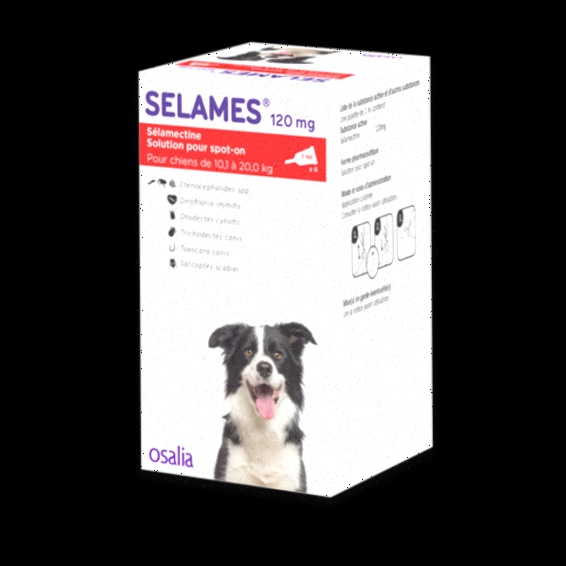 traitement gale generique pas cher